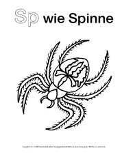 Sp-wie-Spinne-1.pdf